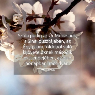 Picture 05 - 4 Mózes 9:1 KAR - Szóla pedig az Úr Mózesnek, a Sinai - Bible Verse Picture