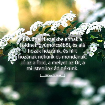 Picture 05 - 5 Mózes 1:25 KAR - És võnek kezeikbe annak a földnek - Bible Verse Picture
