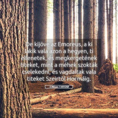 Picture 05 - 5 Mózes 1:44 KAR - De kijöve az Emoreus, a ki lakik vala azon a - Bible Verse Picture