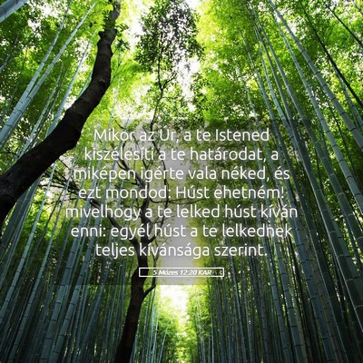 Picture 05 - 5 Mózes 12:20 KAR - Mikor az Úr, a te Istened kiszélesíti a te - Bible Verse Picture