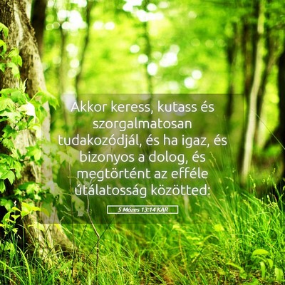 Picture 05 - 5 Mózes 13:14 KAR - Akkor keress, kutass és szorgalmatosan - Bible Verse Picture