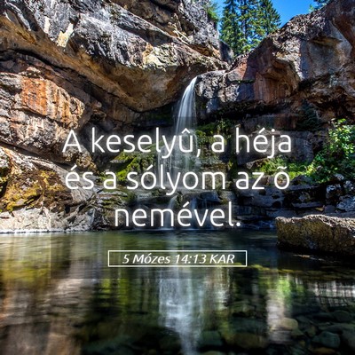 Picture 05 - 5 Mózes 14:13 KAR - A keselyû, a héja és a sólyom az õ - Bible Verse Picture