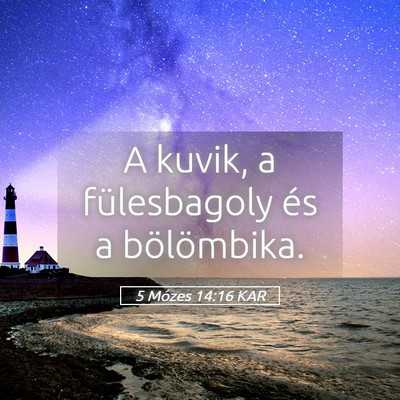 Picture 05 - 5 Mózes 14:16 KAR - A kuvik, a fülesbagoly és a - Bible Verse Picture
