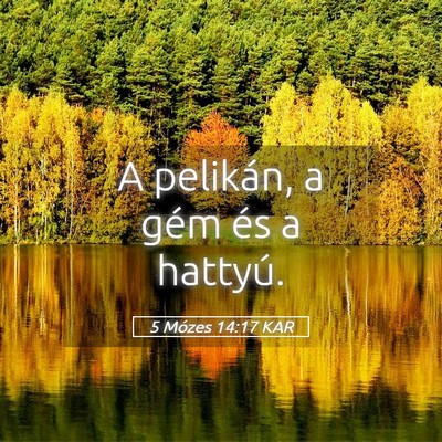 Picture 05 - 5 Mózes 14:17 KAR - A pelikán, a gém és a - Bible Verse Picture