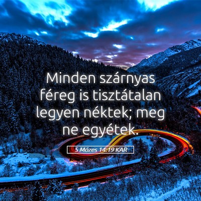 Picture 05 - 5 Mózes 14:19 KAR - Minden szárnyas féreg is tisztátalan legyen - Bible Verse Picture