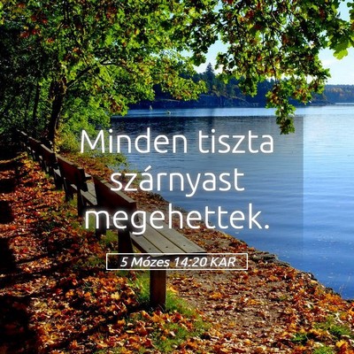 Picture 05 - 5 Mózes 14:20 KAR - Minden tiszta szárnyast - Bible Verse Picture