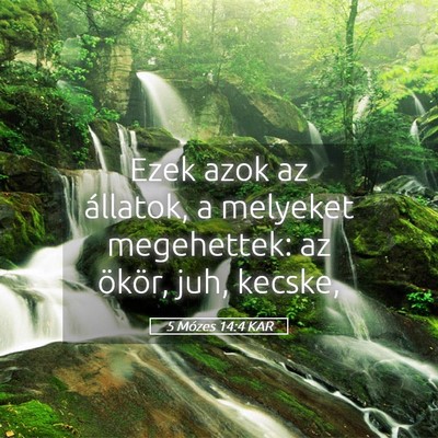 Picture 05 - 5 Mózes 14:4 KAR - Ezek azok az állatok, a melyeket megehettek: az - Bible Verse Picture
