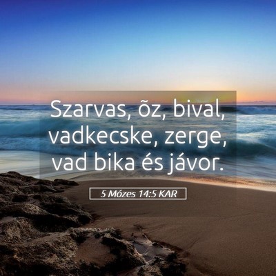 Picture 05 - 5 Mózes 14:5 KAR - Szarvas, õz, bival, vadkecske, zerge, vad bika - Bible Verse Picture