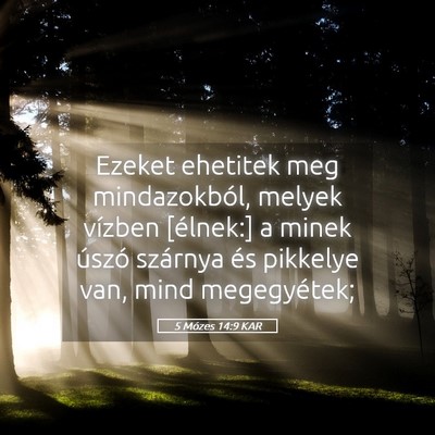 Picture 05 - 5 Mózes 14:9 KAR - Ezeket ehetitek meg mindazokból, melyek vízben - Bible Verse Picture