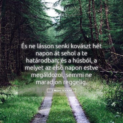 Picture 05 - 5 Mózes 16:4 KAR - És ne lásson senki kovászt hét napon át - Bible Verse Picture