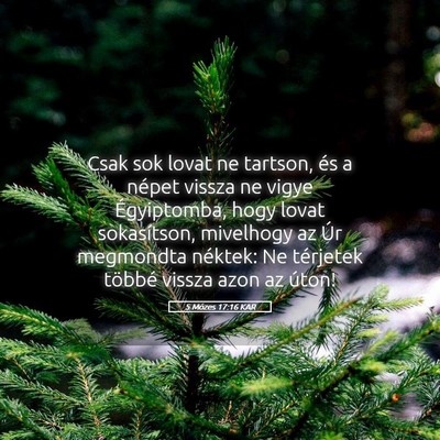 Picture 05 - 5 Mózes 17:16 KAR - Csak sok lovat ne tartson, és a népet vissza ne - Bible Verse Picture