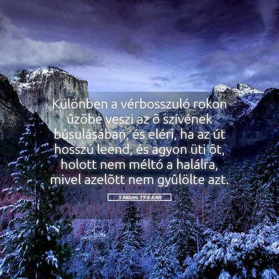 Picture 05 - 5 Mózes 19:6 KAR - Különben a vérbosszuló rokon ûzõbe veszi az - Bible Verse Picture