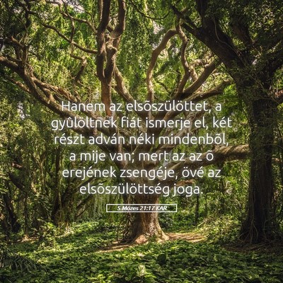 Picture 05 - 5 Mózes 21:17 KAR - Hanem az elsõszülöttet, a gyûlöltnek fiát - Bible Verse Picture