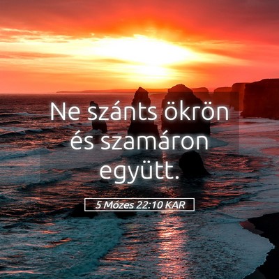 Picture 05 - 5 Mózes 22:10 KAR - Ne szánts ökrön és szamáron - Bible Verse Picture