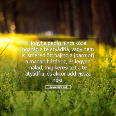 Picture 05 - 5 Mózes 22:2 KAR - Hogyha pedig nincs közel hozzád a te atyádfia, - Bible Verse Picture