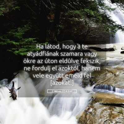 Picture 05 - 5 Mózes 22:4 KAR - Ha látod, hogy a te atyádfiának szamara vagy - Bible Verse Picture