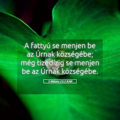 Picture 05 - 5 Mózes 23:2 KAR - A fattyú se menjen be az Úrnak községébe; - Bible Verse Picture