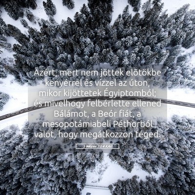 Picture 05 - 5 Mózes 23:4 KAR - Azért, mert nem jöttek elõtökbe kenyérrel - Bible Verse Picture