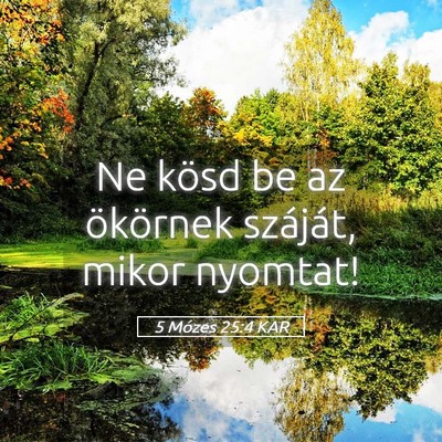 Picture 05 - 5 Mózes 25:4 KAR - Ne kösd be az ökörnek száját, mikor - Bible Verse Picture