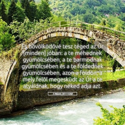 Picture 05 - 5 Mózes 28:11 KAR - És bõvölködõvé tesz téged az Úr [minden] - Bible Verse Picture