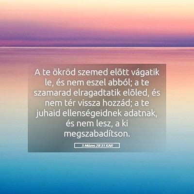 Picture 05 - 5 Mózes 28:31 KAR - A te ökröd szemed elõtt vágatik le, és nem - Bible Verse Picture