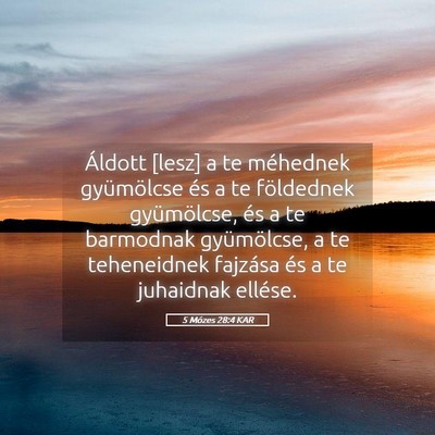 Picture 05 - 5 Mózes 28:4 KAR - Áldott [lesz] a te méhednek gyümölcse és a - Bible Verse Picture