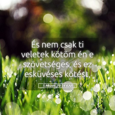 Picture 05 - 5 Mózes 29:14 KAR - És nem csak ti veletek kötöm én e - Bible Verse Picture