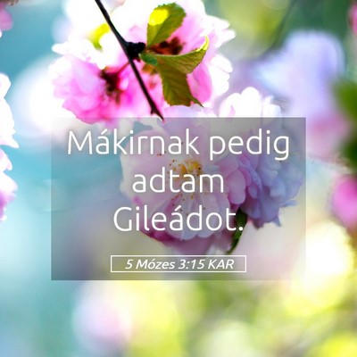 Picture 05 - 5 Mózes 3:15 KAR - Mákirnak pedig adtam - Bible Verse Picture