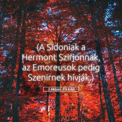 Picture 05 - 5 Mózes 3:9 KAR - (A Sidoniak a Hermont Szirjonnak, az Emoreusok - Bible Verse Picture