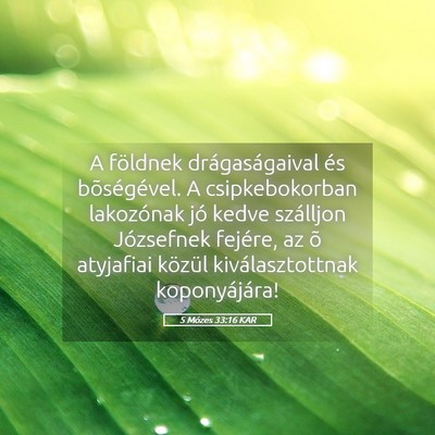 Picture 05 - 5 Mózes 33:16 KAR - A földnek drágaságaival és bõségével. A - Bible Verse Picture