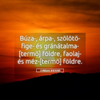 Picture 05 - 5 Mózes 8:8 KAR - Búza-, árpa-, szõlõtõ- fige- és - Bible Verse Picture