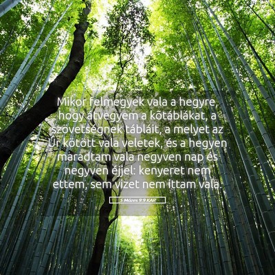 Picture 05 - 5 Mózes 9:9 KAR - Mikor felmegyek vala a hegyre, hogy átvegyem a - Bible Verse Picture