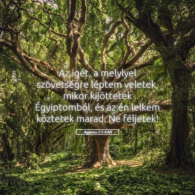Picture 05 - Aggeus 2:5 KAR - Az igét, a melylyel szövetségre léptem - Bible Verse Picture