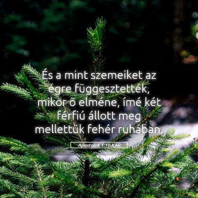 Picture 05 - Apostolok 1:10 KAR - És a mint szemeiket az égre függesztették, - Bible Verse Picture