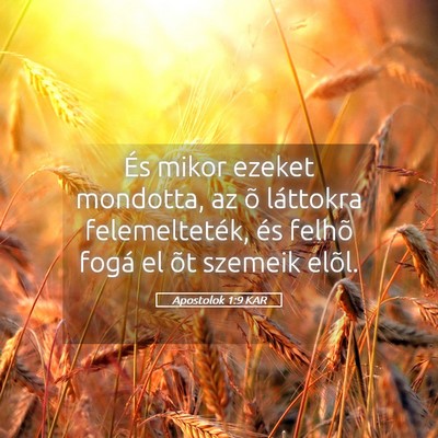 Picture 05 - Apostolok 1:9 KAR - És mikor ezeket mondotta, az õ láttokra - Bible Verse Picture