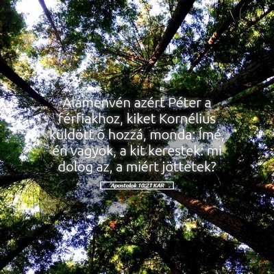 Picture 05 - Apostolok 10:21 KAR - Alámenvén azért Péter a férfiakhoz, kiket - Bible Verse Picture