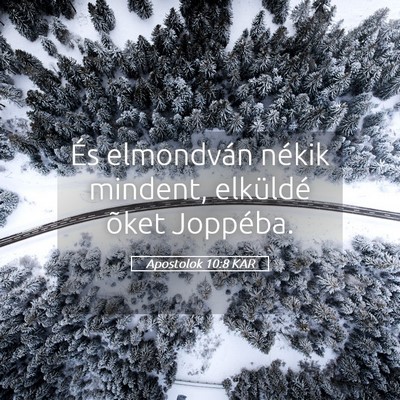Picture 05 - Apostolok 10:8 KAR - És elmondván nékik mindent, elküldé õket - Bible Verse Picture