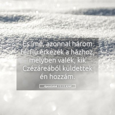 Picture 05 - Apostolok 11:11 KAR - És ímé, azonnal három férfiú érkezék a - Bible Verse Picture