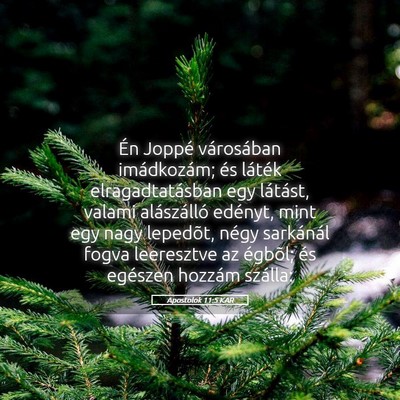 Picture 05 - Apostolok 11:5 KAR - Én Joppé városában imádkozám; és láték - Bible Verse Picture