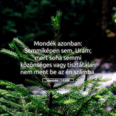 Picture 05 - Apostolok 11:8 KAR - Mondék azonban: Semmiképen sem, Uram; mert soha - Bible Verse Picture