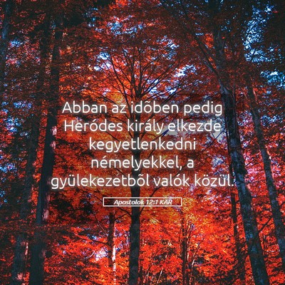 Picture 05 - Apostolok 12:1 KAR - Abban az idõben pedig Heródes király elkezde - Bible Verse Picture