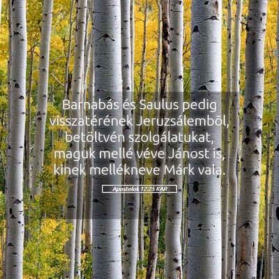 Picture 05 - Apostolok 12:25 KAR - Barnabás és Saulus pedig visszatérének - Bible Verse Picture