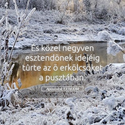 Picture 05 - Apostolok 13:18 KAR - És közel negyven esztendõnek idejéig tûrte - Bible Verse Picture