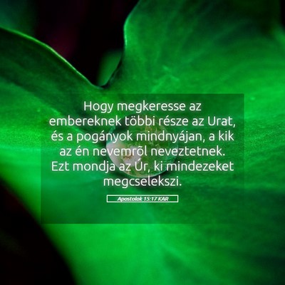 Picture 05 - Apostolok 15:17 KAR - Hogy megkeresse az embereknek többi része az - Bible Verse Picture