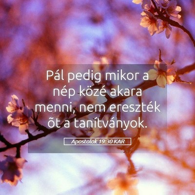 Picture 05 - Apostolok 19:30 KAR - Pál pedig mikor a nép közé akara menni, nem - Bible Verse Picture