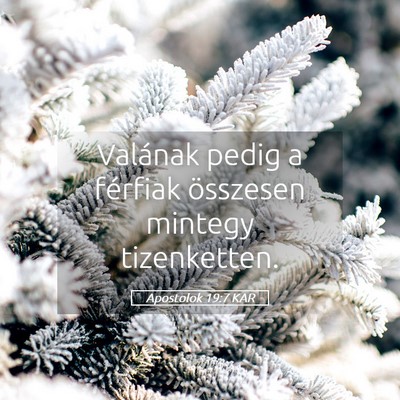 Picture 05 - Apostolok 19:7 KAR - Valának pedig a férfiak összesen mintegy - Bible Verse Picture