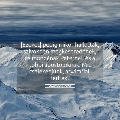 Picture 05 - Apostolok 2:37 KAR - [Ezeket] pedig mikor hallották, szívökben - Bible Verse Picture