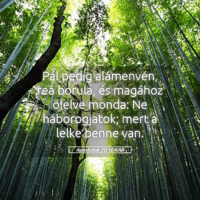 Picture 05 - Apostolok 20:10 KAR - Pál pedig alámenvén, reá borula, és magához - Bible Verse Picture