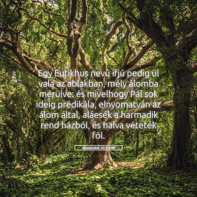 Picture 05 - Apostolok 20:9 KAR - Egy Eutikhus nevû ifjú pedig ül vala az - Bible Verse Picture