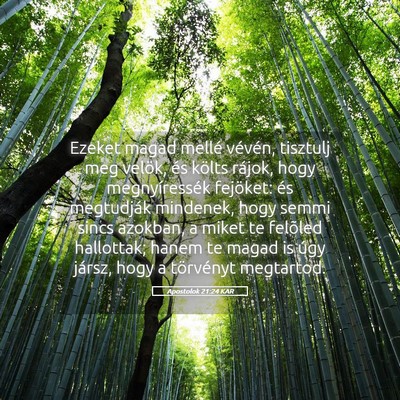 Picture 05 - Apostolok 21:24 KAR - Ezeket magad mellé vévén, tisztulj meg velök, - Bible Verse Picture